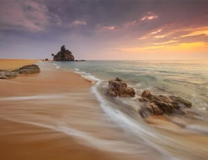 西班牙女篮挺进半决赛:热血与智慧并存的王者之路