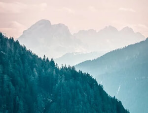 捕鱼比赛现场惊险刺激，选手争夺激烈